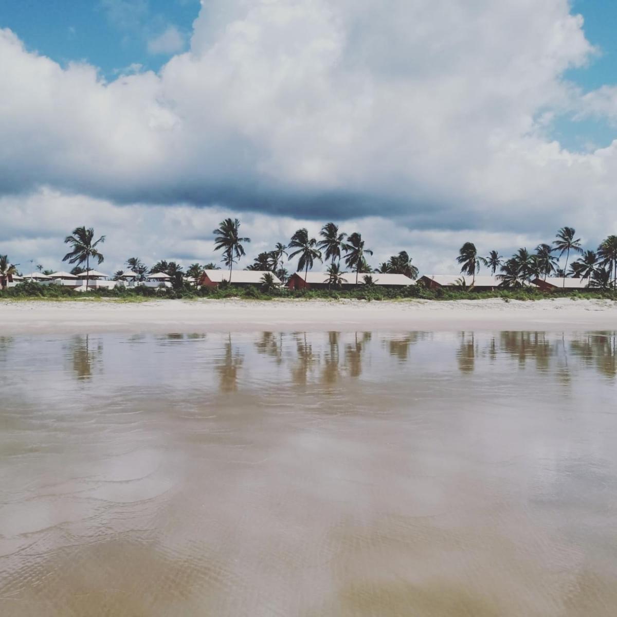 Lindo Apto Em Frente Ao Mar - Ilheus - Itacare Ba Eksteriør bilde