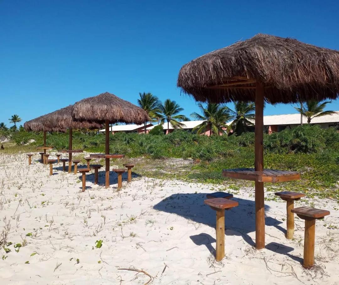 Lindo Apto Em Frente Ao Mar - Ilheus - Itacare Ba Eksteriør bilde